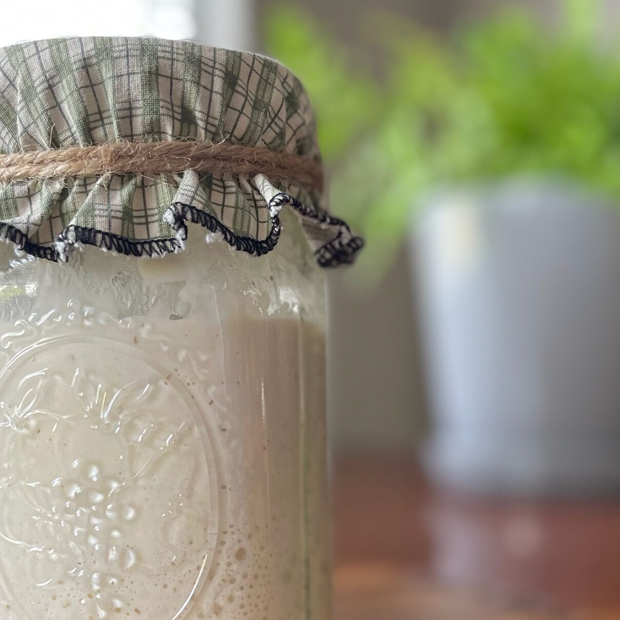 How to Maintain a Sourdough Starter